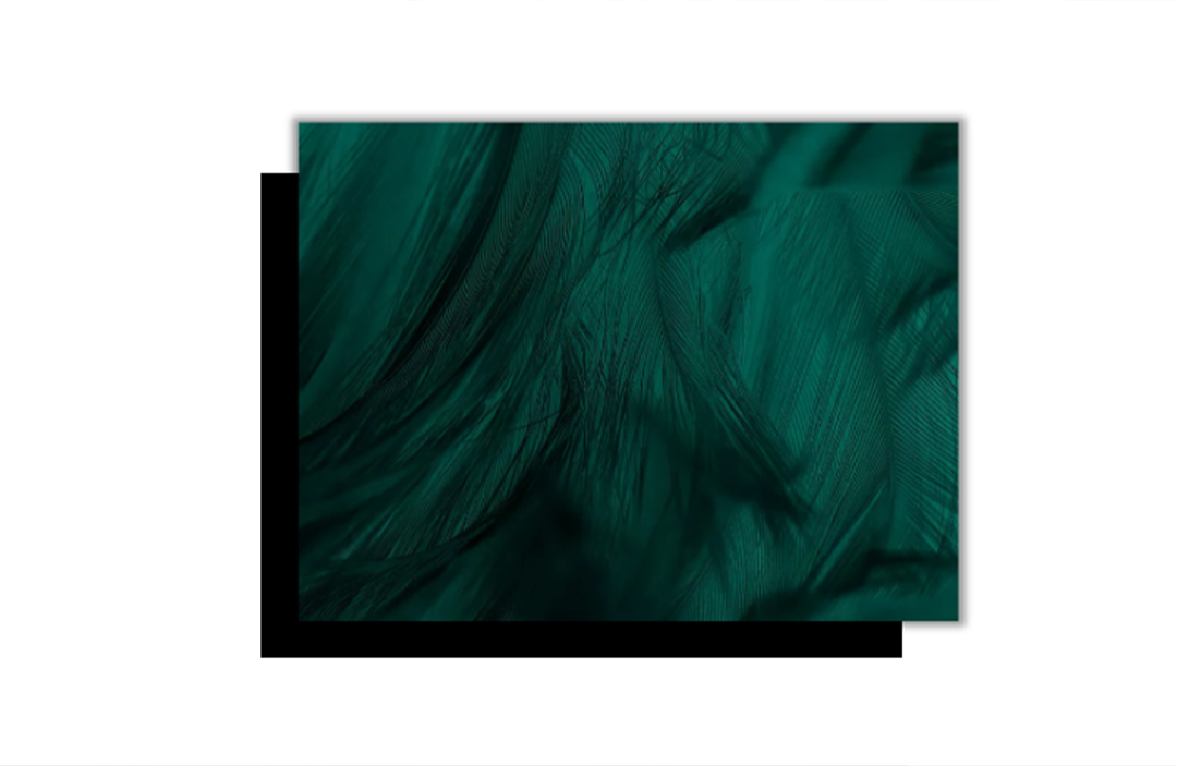 1661744101990388.jpg 8.jpg